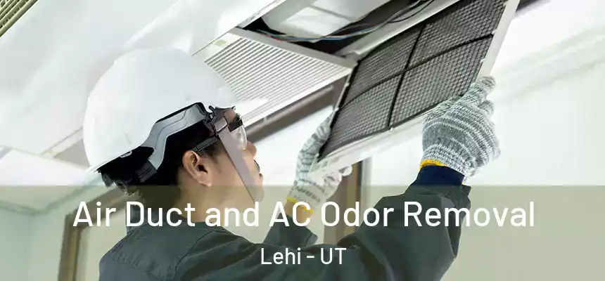  Air Duct and AC Odor Removal Lehi - UT