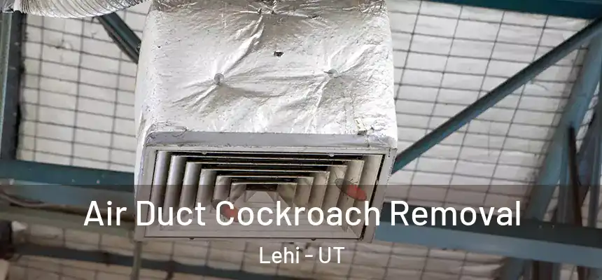  Air Duct Cockroach Removal Lehi - UT