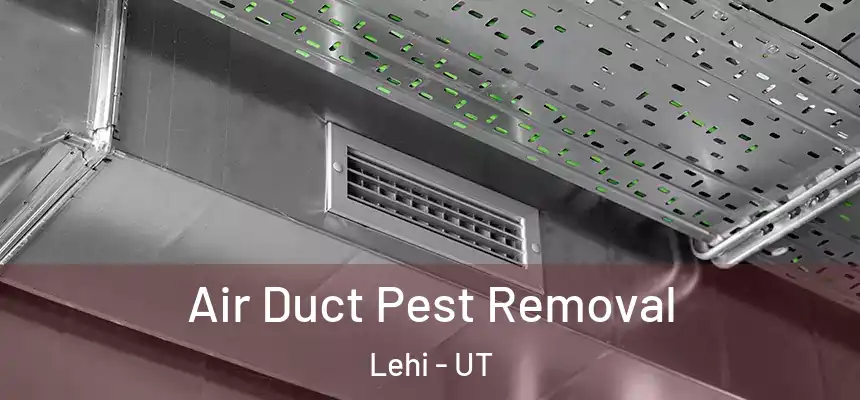  Air Duct Pest Removal Lehi - UT