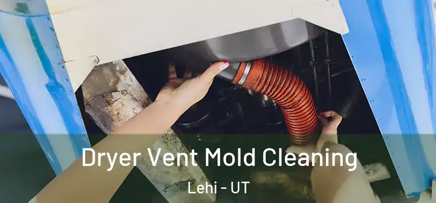  Dryer Vent Mold Cleaning Lehi - UT