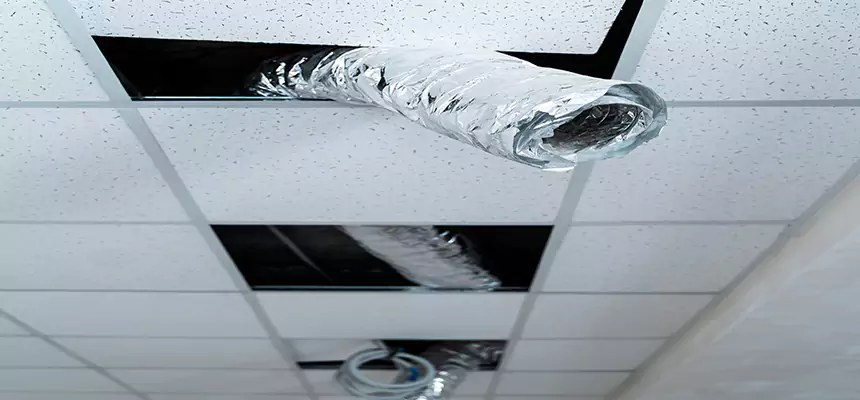 Our Air Duct Pet Hair Removal Services in Lehi, UT