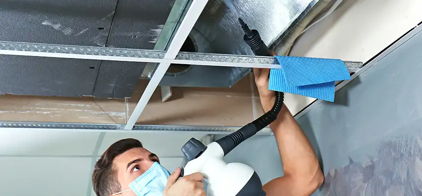 Our Air Duct Rodent Removal Services in Lehi, UT