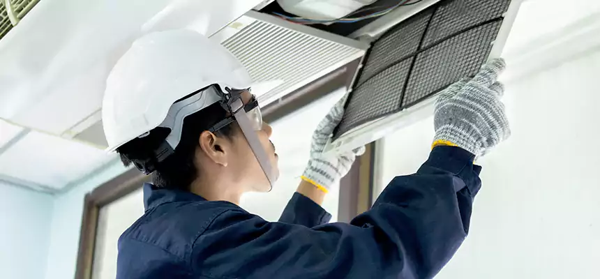 Our Mold & Mildew Removal from Air Ducts Services in Lehi, UT