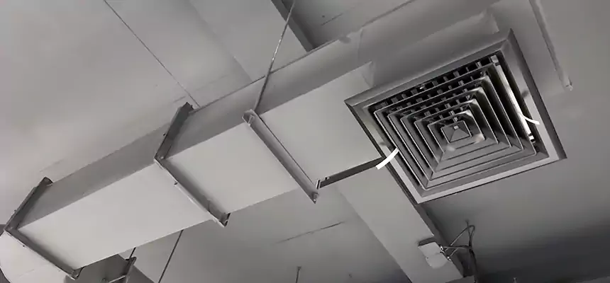 Our Pest Removal From Ducts Services in Lehi, UT