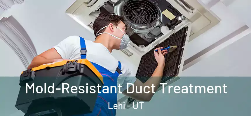  Mold-Resistant Duct Treatment Lehi - UT