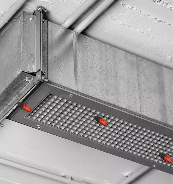 About Air Duct Cockroach Removal in Lehi, UT