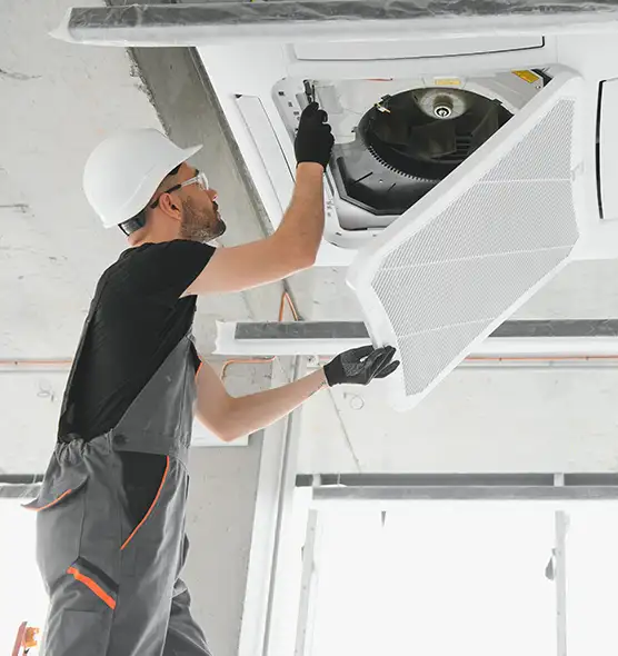 About Air Duct Rodent Removal in Lehi, UT