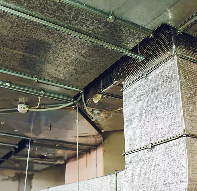 Why Homeowners & Businesses Trust Us in Lehi, UT?